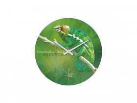 Часы настенные Nicole Time NT503 в Новокремлёвском - novokremlyovskoe.mebel-nsk.ru | фото
